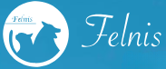 株式会社Felnis