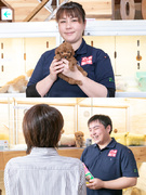 ペットショップの接客スタッフ(わんちゃん、ねこちゃんを担当)☆残業