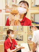 犬猫専門ペットショップの販売員 残業ほぼナシ 月5万円 万円のインセンティブあり 応募資格 高卒以上 業種 職種未経験 第二新卒歓迎 これまでの経験は 雇用形態 正社員 契約社員 有限会社ペット プラザの転職 求人情報 エン転職