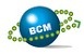 株式会社BCM