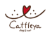 株式会社Cattleya