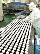 鶏卵工場の統括スタッフ（未経験歓迎）◆日本一に選ばれたブランド卵を担当／創業100年以上1