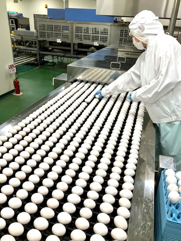 鶏卵工場の統括スタッフ（未経験歓迎）◆日本一に選ばれたブランド卵を担当／創業100年以上イメージ1