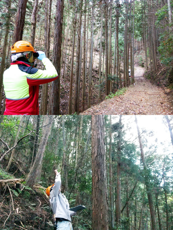 森林管理職（フォレスター候補）◆森林整備の企画・進行／2年間の研修費無料・給与支給／年間休日122日イメージ1