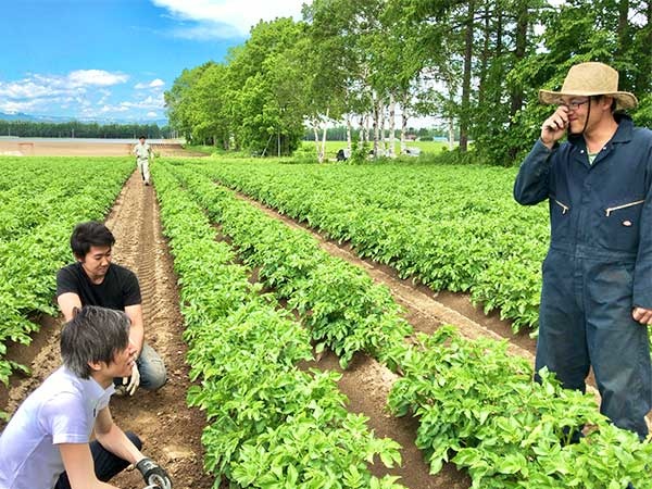 転職・求人情報イメージ1