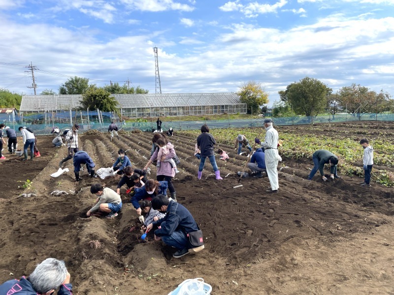 転職・求人情報イメージ2