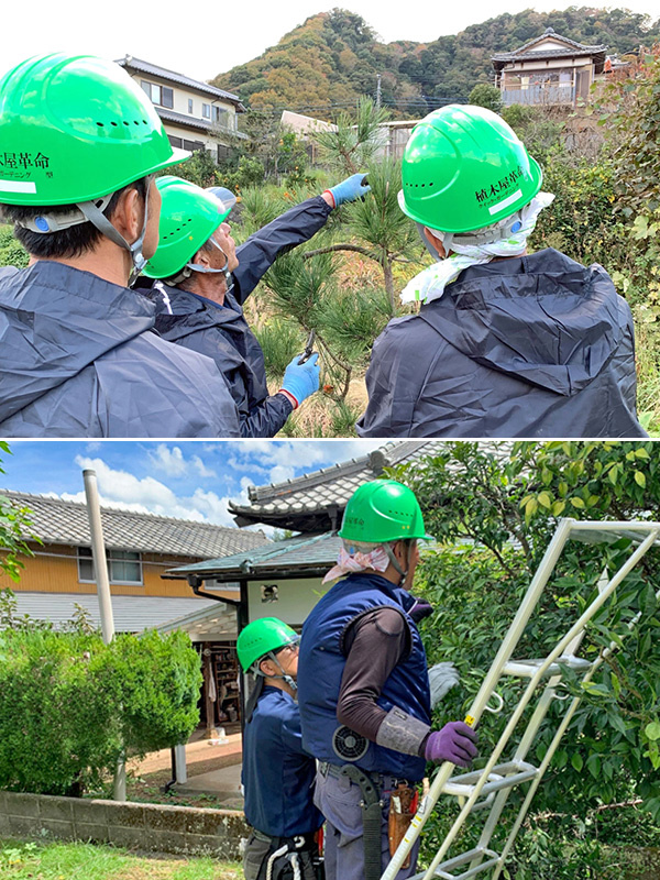 植木職人の研修担当◆植木カットデザイナーのお仕事デビューを支援／未経験歓迎／人柄重視の採用イメージ1