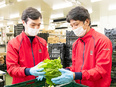野菜の仕分けスタッフ（未経験歓迎）◆新鮮な食材の社員割引あり／月収33万円以上も可能／週休2日／急募2