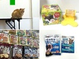 ペット用品・食品のコピーライター◆未経験可／ペット手当など充実／商品がSNSで話題に／残業少なめ2