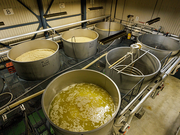 転職・求人情報イメージ1