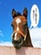 厩舎の警備スタッフ◆スキル・経験不問／月給25万円～／モニター監視中心／直行直帰OK／社員寮完備！