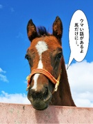 厩舎の警備スタッフ◆スキル・経験不問／月給25万円～／モニター監視中心／直行直帰OK／社員寮完備！1