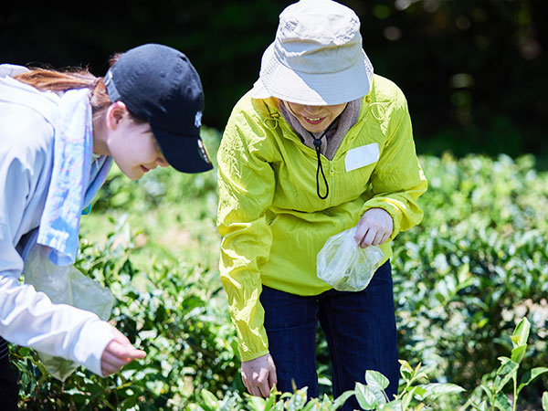 転職・求人情報イメージ1