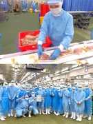 食肉加工スタッフ（未経験歓迎）◆残業少なめ／昨年度賞与4ヶ月分／近隣の駅から送迎バスあり！1