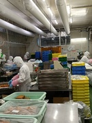 製造スタッフ（未経験歓迎）◆残業月20h以下／賞与あり／マイカー通勤OK／服装自由／老舗企業！1