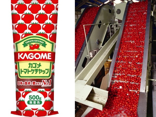 転職・求人情報イメージ2