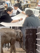 開発営業（未経験歓迎）◆動物園や公園など公共事業に携わる／年間休日121日／残業月15h以下1