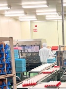 卵製品の食品製造スタッフ（未経験歓迎）◆残業月20時間以下／プライム上場グループ1