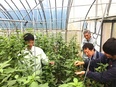 コンサルティング営業（未経験歓迎）◆賞与4.7か月分／創業128年の超安定×財務内容抜群企業！3