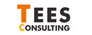 株式会社ティーズコンサルティング
