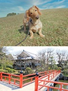 お墓の企画営業（寺院と取引）◆1年目の想定月収48万円以上／残業月平均10H以内／継続収入の仕組み有1