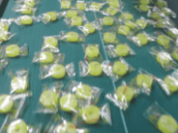 転職・求人情報イメージ1