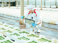 発芽野菜の生産管理◆未経験でも月給30万円スタート／年間休日121日＋有休奨励日4日で実質125日3