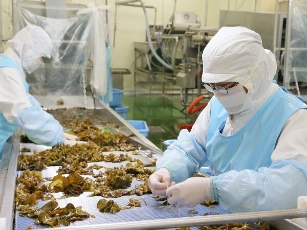 転職・求人情報イメージ2