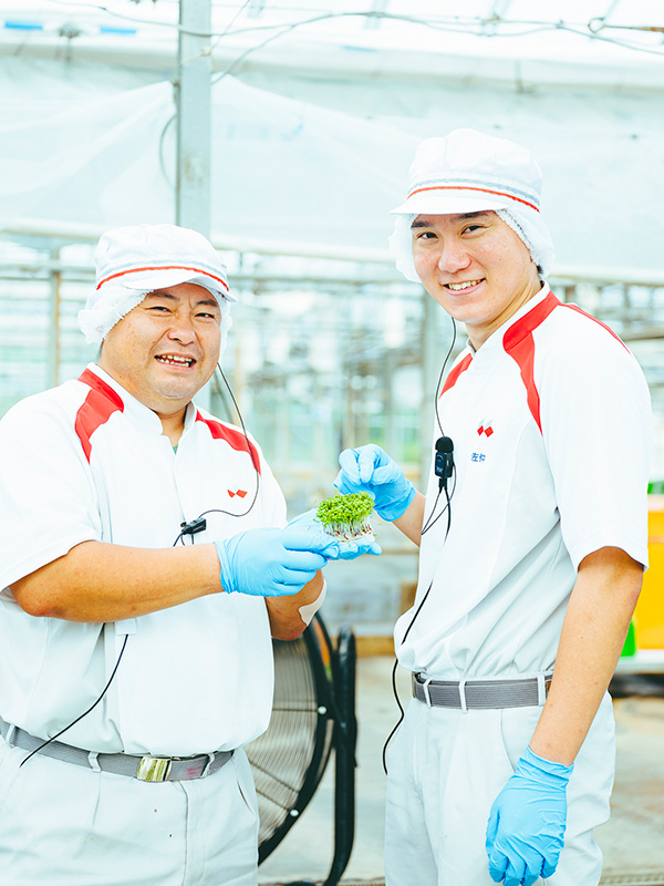 発芽野菜の生産管理◆9割未経験スタート／業界シェアトップクラス／分析力とマネジメントスキルが身につくイメージ1