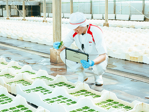転職・求人情報イメージ2