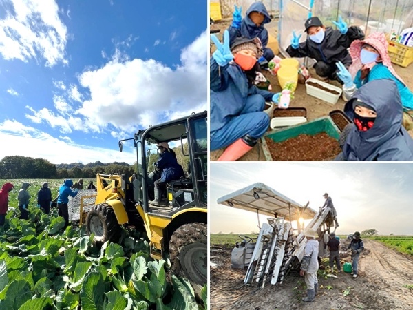 転職・求人情報イメージ1