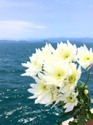 葬祭プランナー ◆宇宙葬や海洋散骨などユニークなお葬式をプロデュース／基本土日休み／残業少なめ1