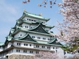 ビジネス展開支援担当◆勤務は週1~2日/1日あたり4~8時間勤務/フルリモート・副業・兼業OK2