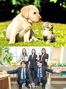 総合職（未経験歓迎）◆ペット関連サービス／月給28万6000円～／家賃補助／新規事業挑戦可1