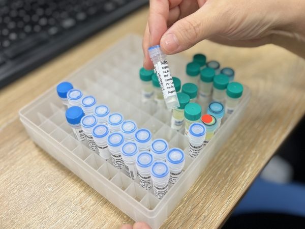 転職・求人情報イメージ2