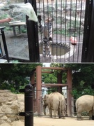 現場管理スタッフ（未経験歓迎）◆動物園や公園の施設づくり／創業77年／残業月15h以内／年休121日1