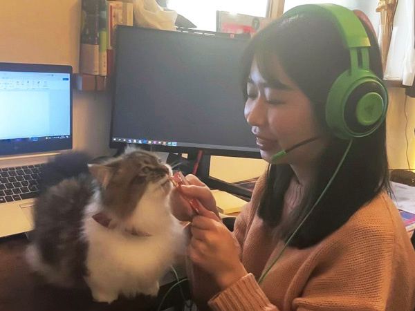 転職・求人情報イメージ1