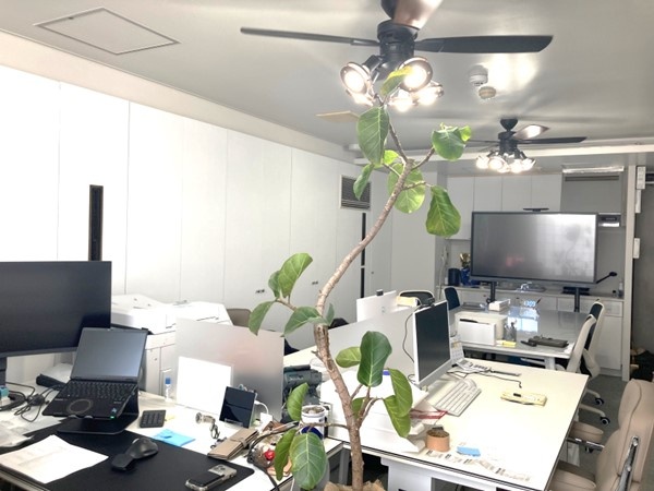 転職・求人情報イメージ1
