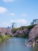 広報広聴職員(係長級)◆広報クリエイティブ統括担当/土日祝休み/年間休日125日1