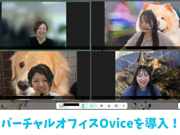 転職・求人情報イメージ2