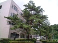 造園師◆未経験歓迎／将来的に月給35万円以上目指せる／17時定時／残業なし／住宅手当有／髪型髪色自由2