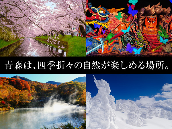 転職・求人情報イメージ2