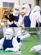 海産物加工品の製造スタッフ（未経験可）◆残業月5時間以下／食事補助・社内販売あり／髪型・髪色自由1