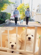 ワンちゃんの譲渡スタッフ（未経験歓迎）◆残業月10時間程度／髪型・髪色自由／家族手当／マイカー通勤可1