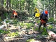 林業スタッフ（重機オペレーター・造林）◆未経験歓迎／通勤送迎あり／月8～9日の土日休み／コツコツ作業3