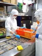 『魚久』の出荷作業スタッフ◆創業112年の老舗／残業月20h／月収30万円／賞与最大年3回／土日休可1