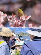 企画職（自然保護活動を世に広める仕事）◆未経験歓迎／土日祝休／残業月平均10h／年間休日125日1
