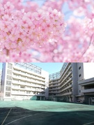 学校広報職（未経験歓迎）◆説明会やメディアを通じて魅力を発信／昨年度賞与最大5.2ヶ月分／住宅手当有1
