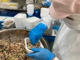 製造スタッフ（未経験歓迎） ◆弁当・総菜の製造工場／転勤なし／マイカー通勤OK／家族手当あり2