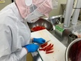 製造スタッフ（未経験歓迎） ◆弁当・総菜の製造工場／転勤なし／マイカー通勤OK／家族手当あり3